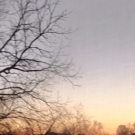 creator Iris Feenstra's avatar