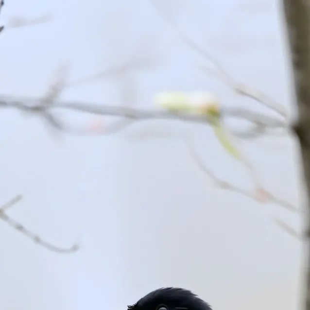 chat with ai character: Woman mdmd