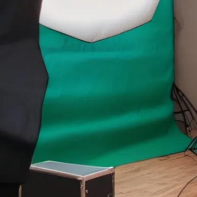 chat with ai character: Every kaiju