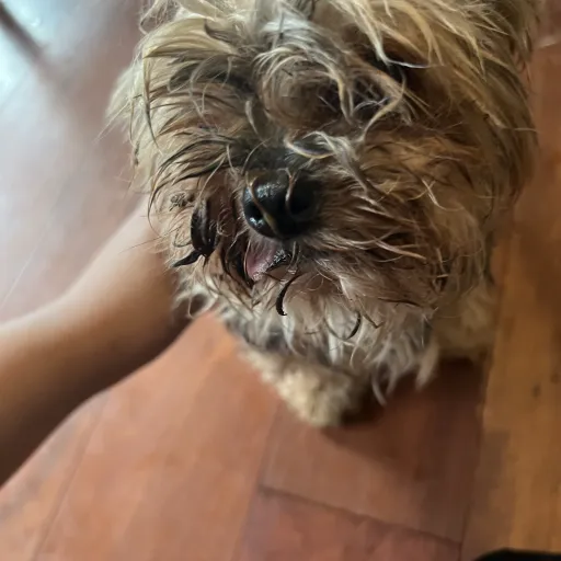 creator Talkior-WnS4Ypfp's avatar