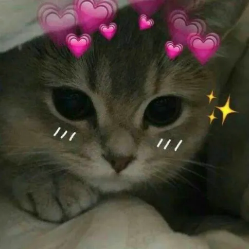 creator L0nleygurl's avatar