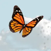 creator 🌺Little Ollie🌺's avatar