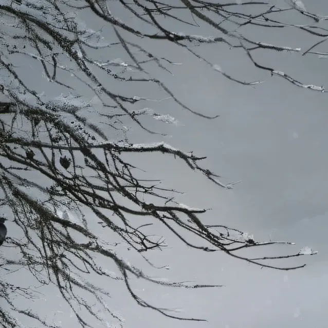 chat with ai character: Narnia rp