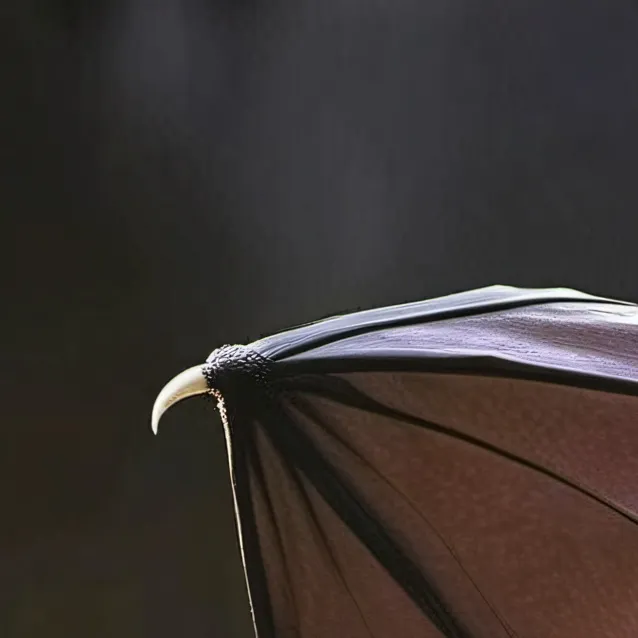 chat with ai character: Bat