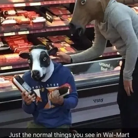 creator ✨️ Cali ✨️'s avatar