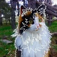 creator 🌠BUG5T4RZC4TZ🌠's avatar