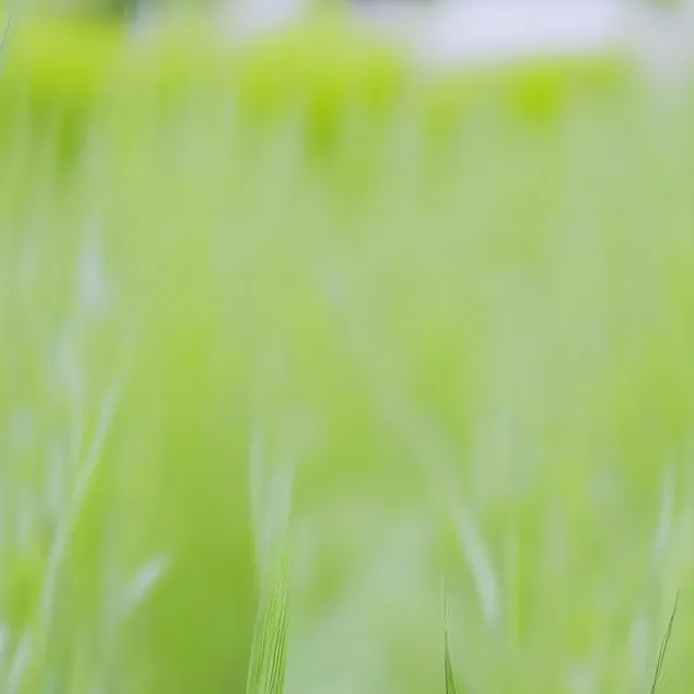 chat with ai character: go touch grass