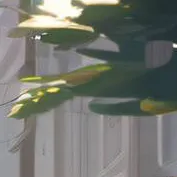 chat with ai character: Maria (I’m Maria)