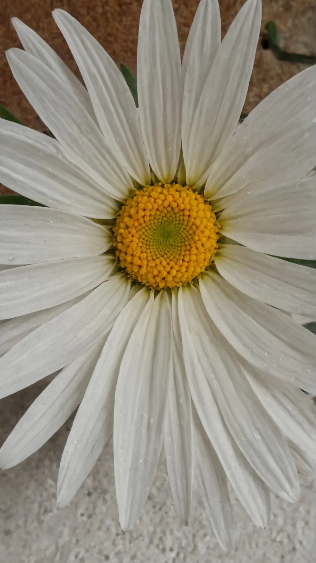 ai character: My new Friend  background