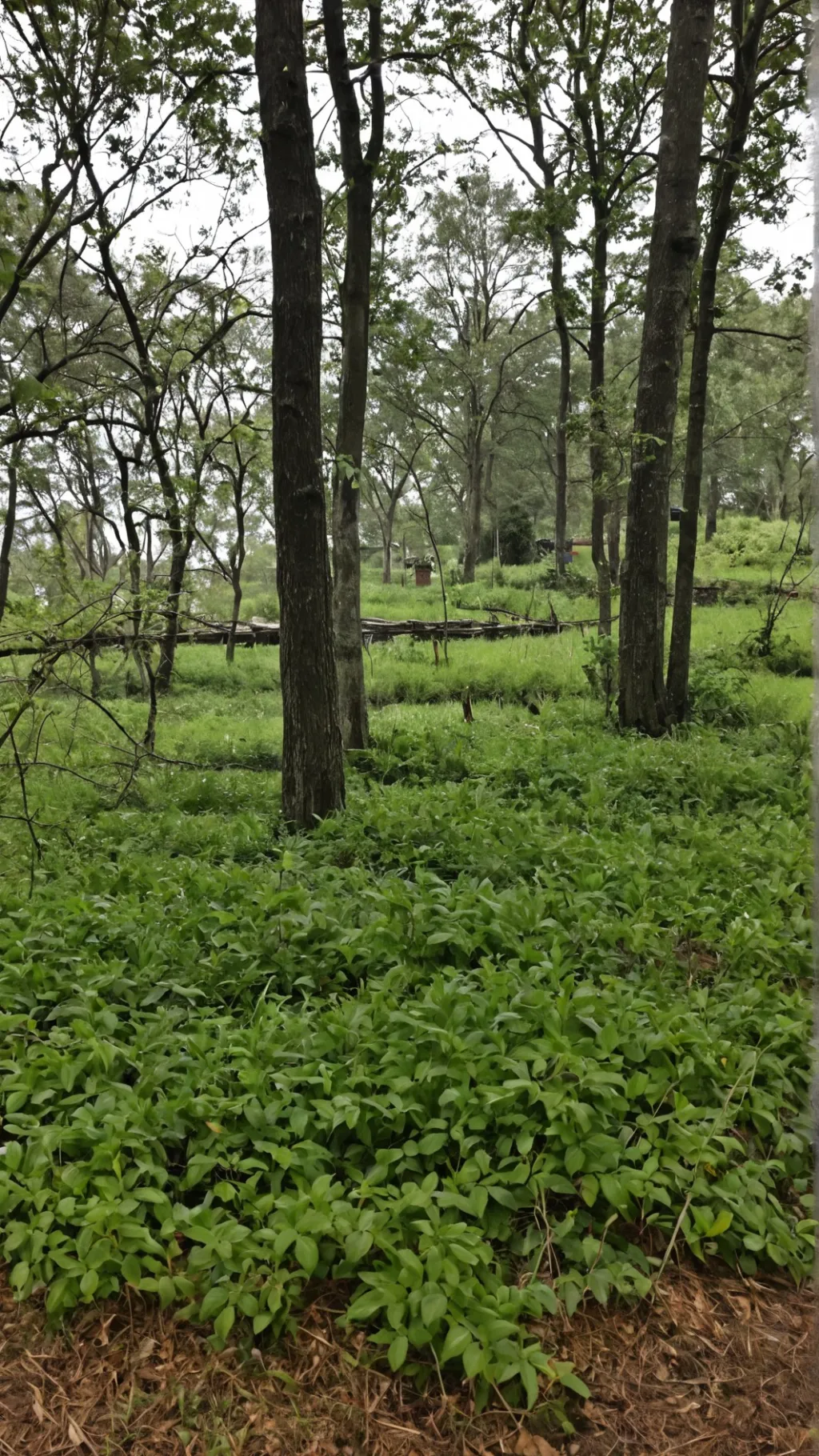 ai character: Your plans background