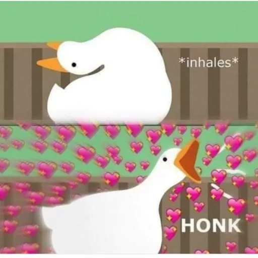 creator kikithegosse's avatar