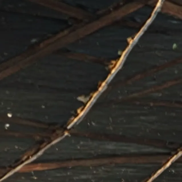 chat with ai character: hunger games (76th