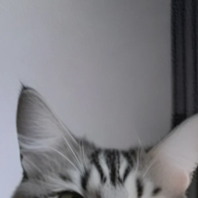 chat with ai character: hobby the picture 