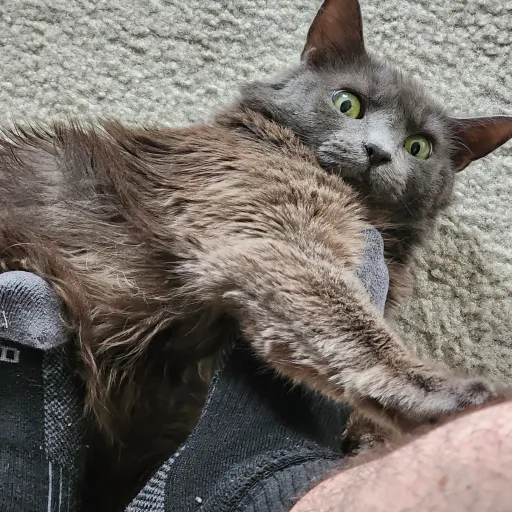 creator Hunter_May's avatar