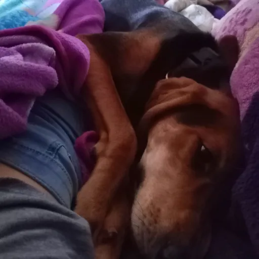 creator Fnaf_Afton_Shadow's avatar