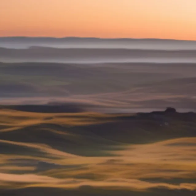 chat with ai character: Daniel