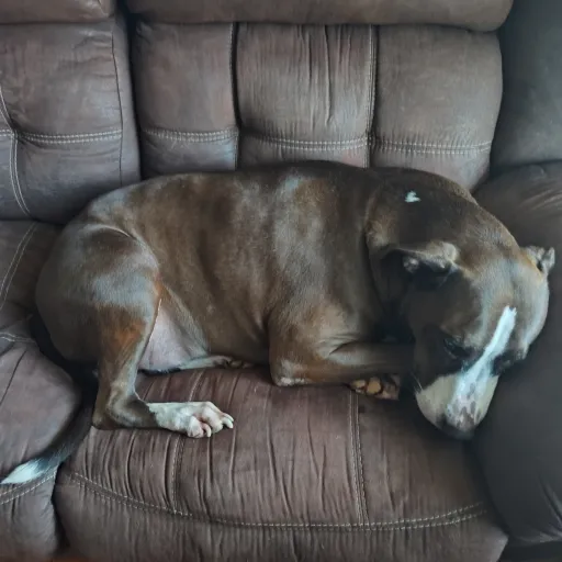 creator Mothslayer2000's avatar