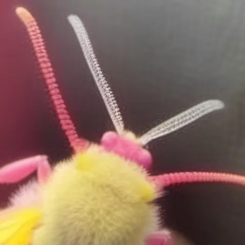 chat with ai character: ╼Gaypoodlemoth╾