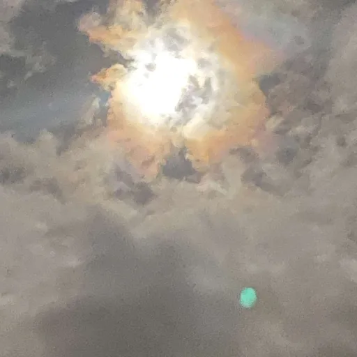 creator Talkior-n6zR8HuM's avatar