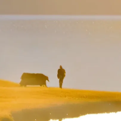 chat with ai character: I like ches