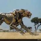 talkie's author avatar