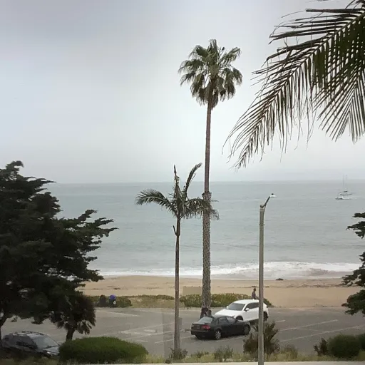 creator Elanii's avatar