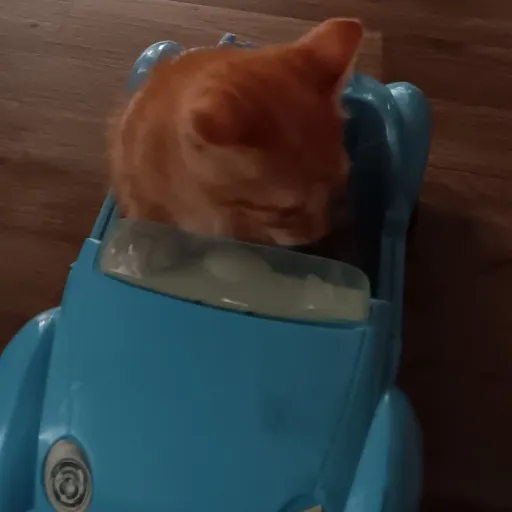 talkie's author avatar