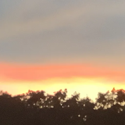 creator Talkior-ybgaVnlO's avatar