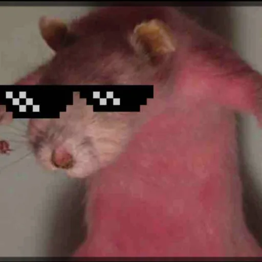 creator ✨ 𝓡𝓮𝓶𝓲 ✨'s avatar