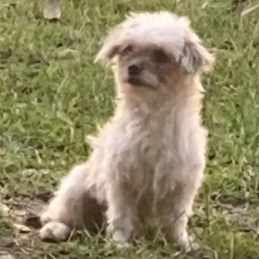 creator Kat!!'s avatar