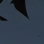 chat with ai character: animatic 