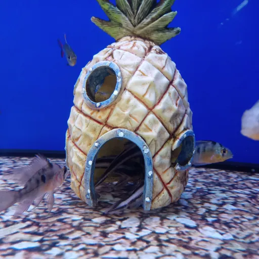 creator Potato_as a human's avatar