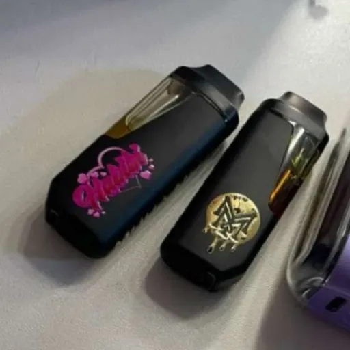 talkie's author avatar