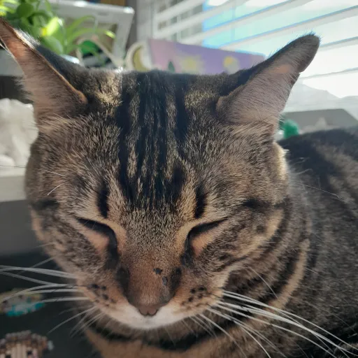 creator ur_mother.via's avatar