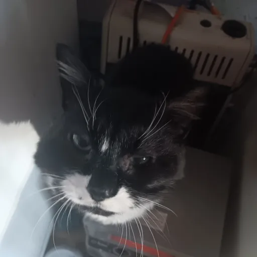 creator emmmmmy's avatar