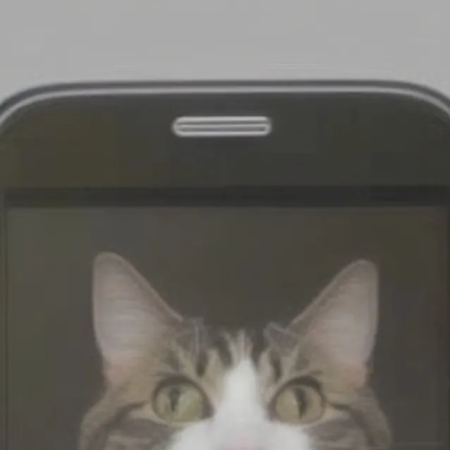 chat with ai character: Cat called you.