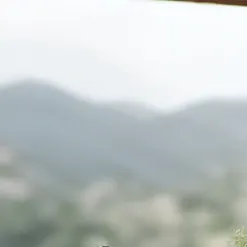 chat with ai character: Cam