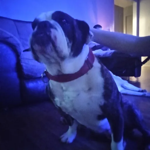 creator Talkior-htsQJrx1's avatar