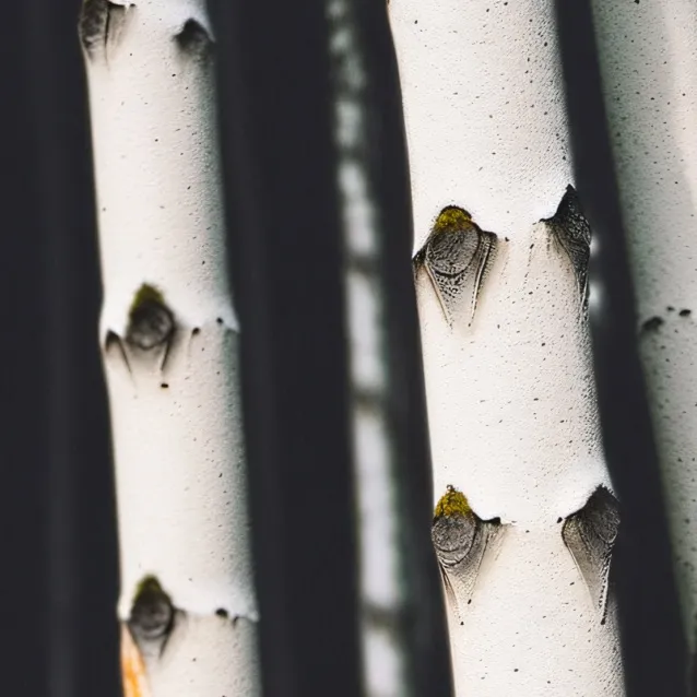 chat with ai character: von trap family 