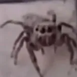 creator Fuk_U_Den's avatar