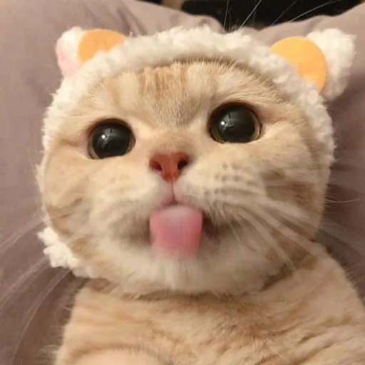 creator 《ur lil luvly!》's avatar