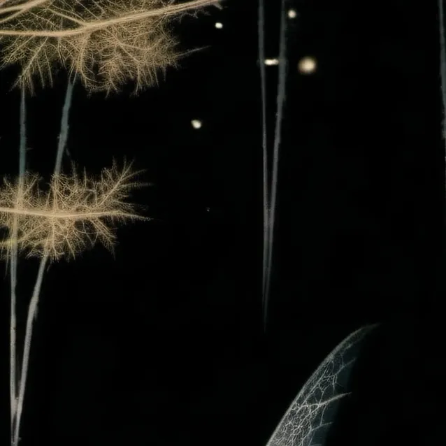 chat with ai character: Eudora