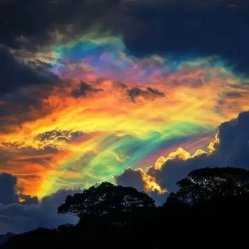 creator ⚜️Son Of Iris⚜️'s avatar