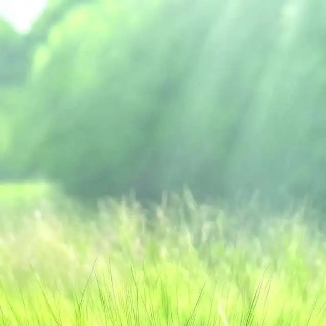 chat with ai character: grass