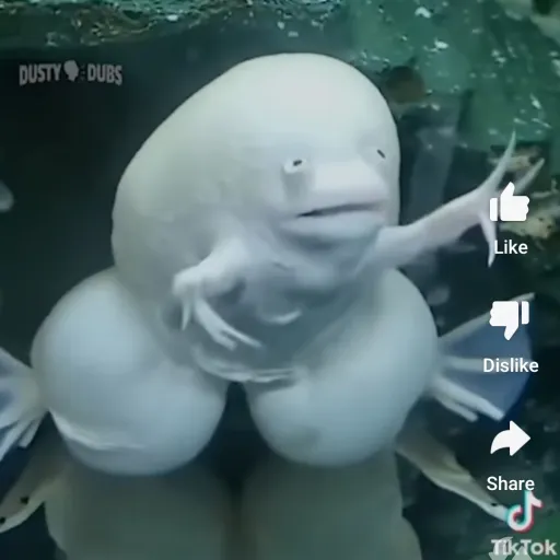 creator Thicc fish's avatar