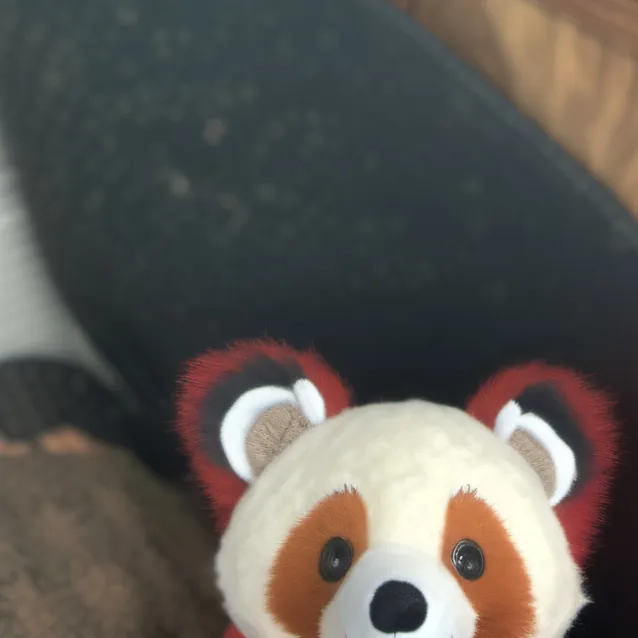 chat with ai character: redd