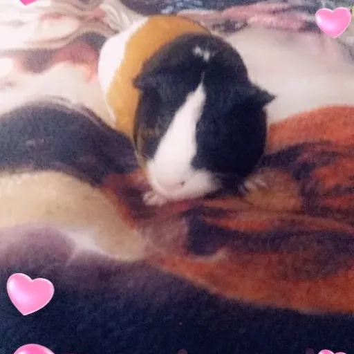 creator ashley9203's avatar