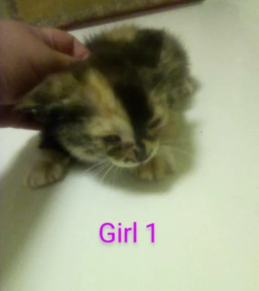 creator Emily406❤️❤️'s avatar