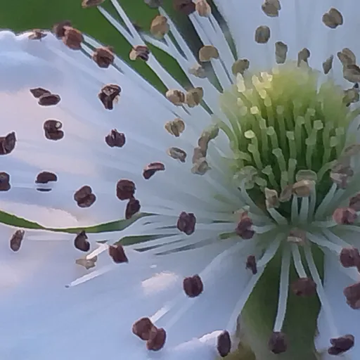 creator UnfortunateMystic's avatar