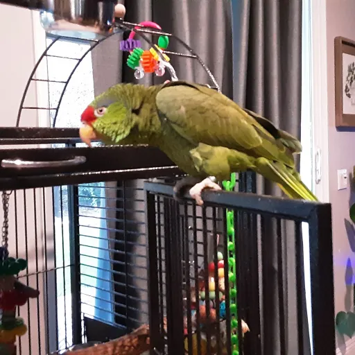 creator Shelly............'s avatar